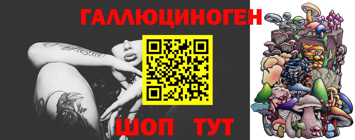 Комсомольск-на-Амуре  Галлюциногенные грибы прущие грибы  Вход с VPN  Галлюциногенные грибы ЛСД 
